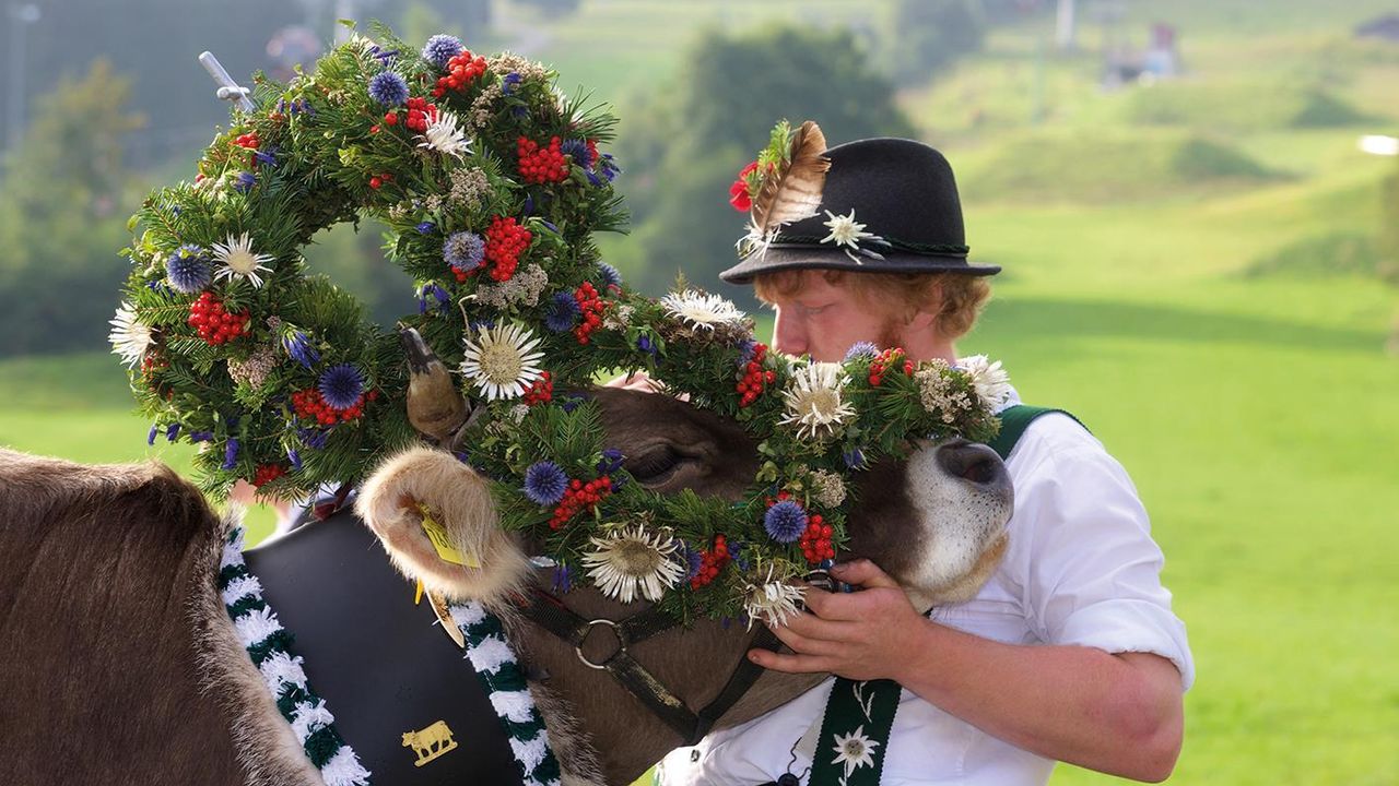 Viehscheid Nesselwang Viehscheid Nesselwang